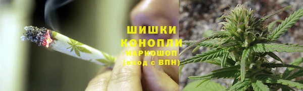 мдпв Надым
